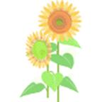 �ɮצW��: j0395428.wmf ����r: flowers, nature, plants ... �ɮפj�p: 54 KB